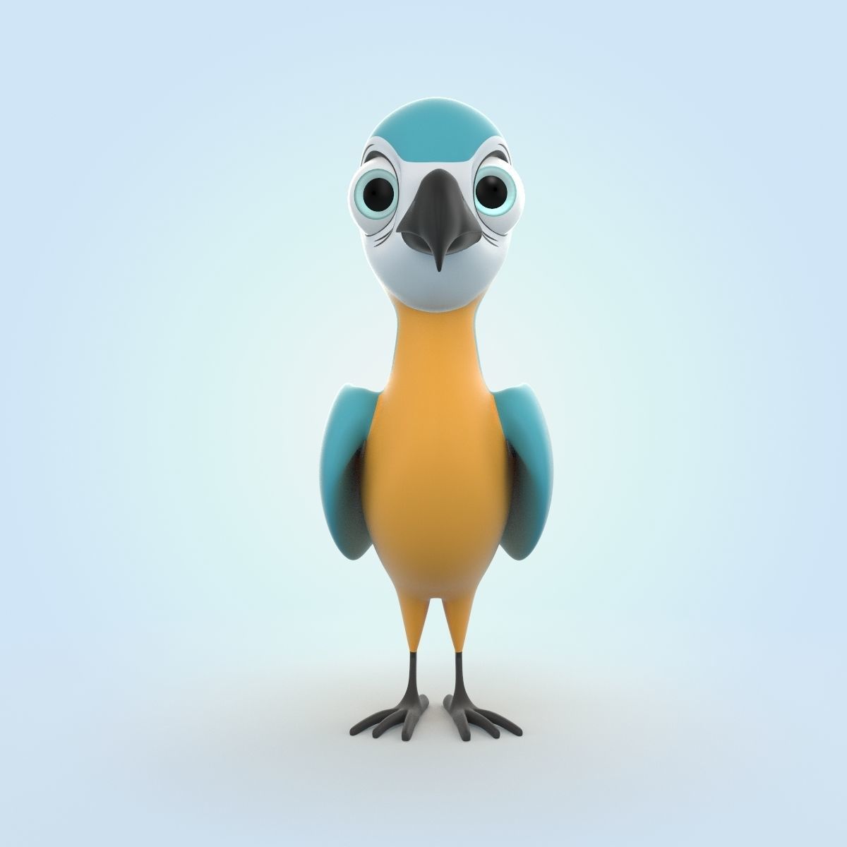 Macaw bird 3D model_5