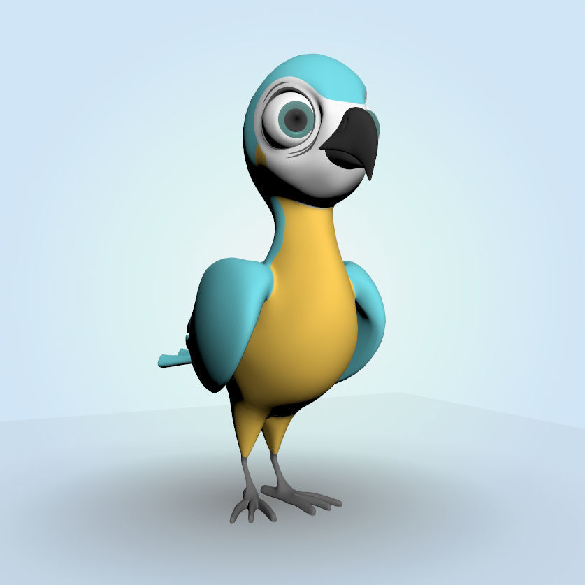 Macaw bird 3D model_6