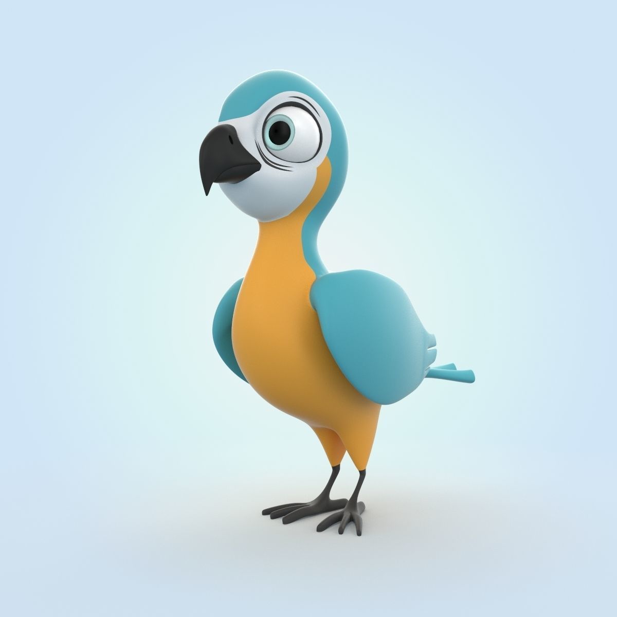 Macaw bird 3D model_4