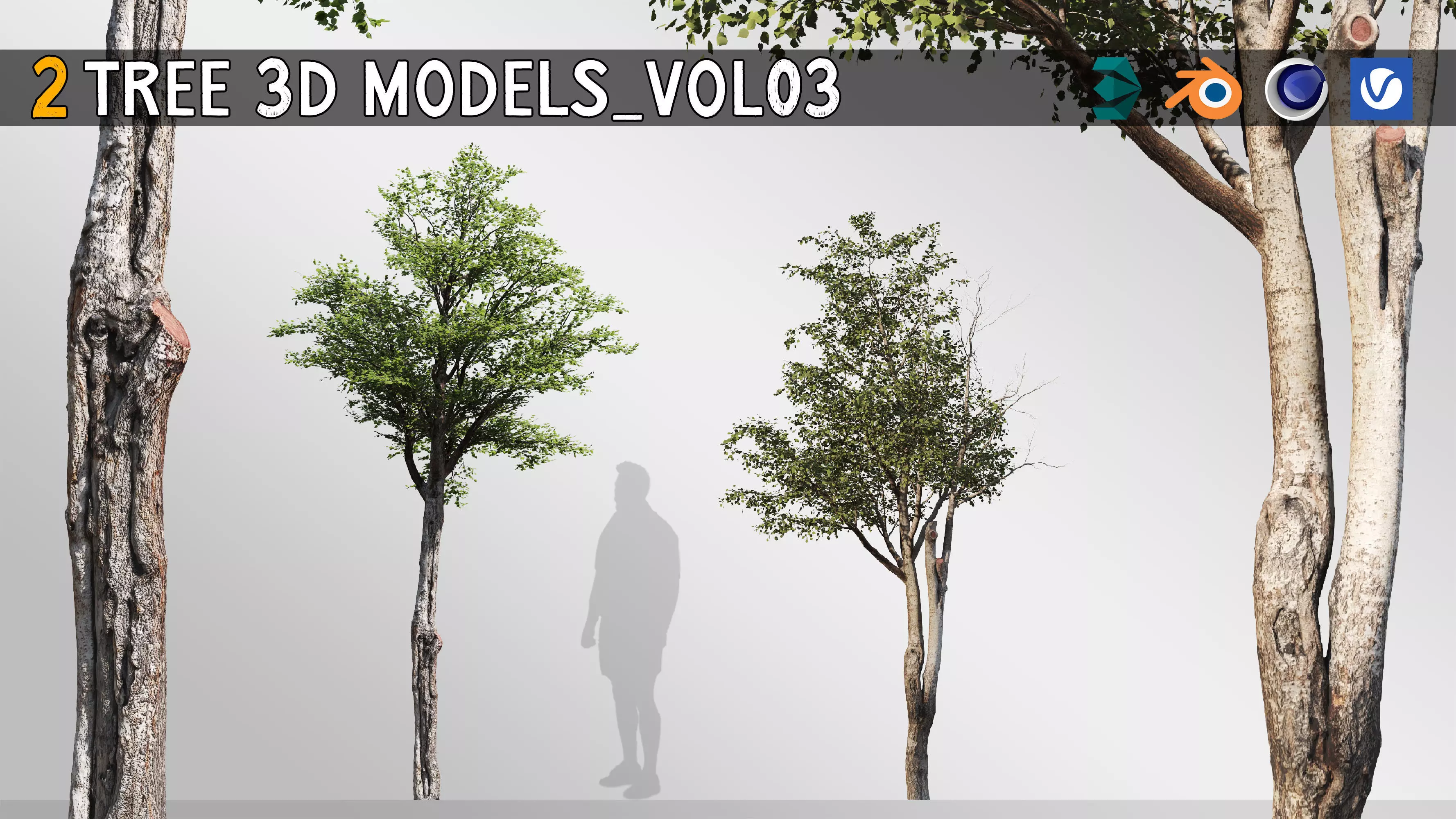 Silver Birch Set-Vol 01 3D model_0