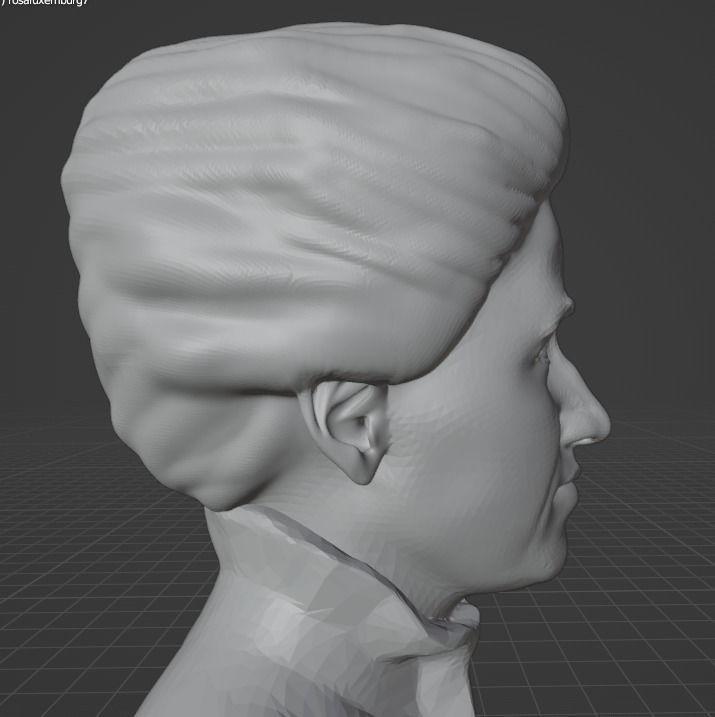 Rosa Luxemburg 3D print model_17
