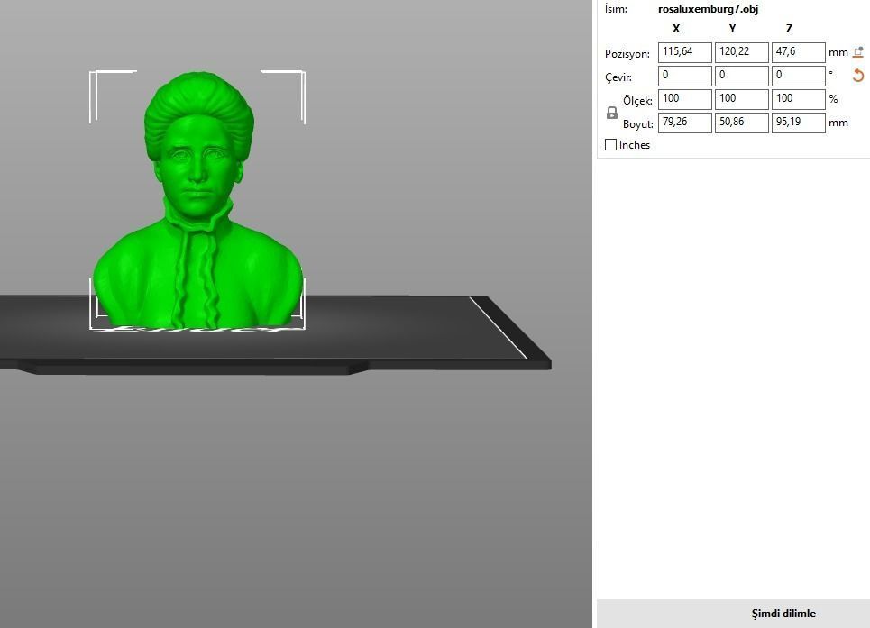 Rosa Luxemburg 3D print model_11