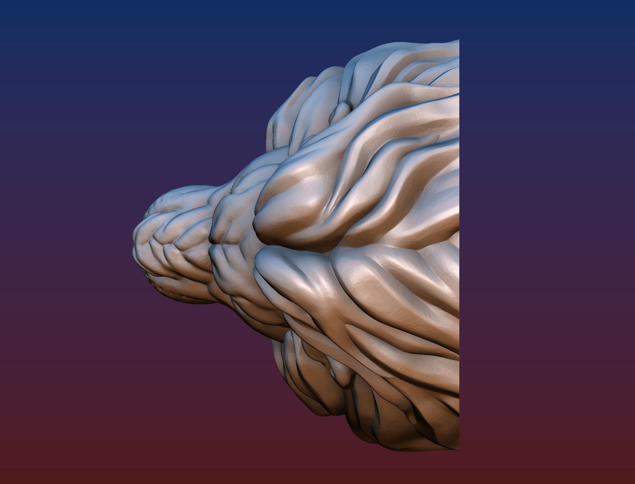Lion Head Short Mane 3D print model_4