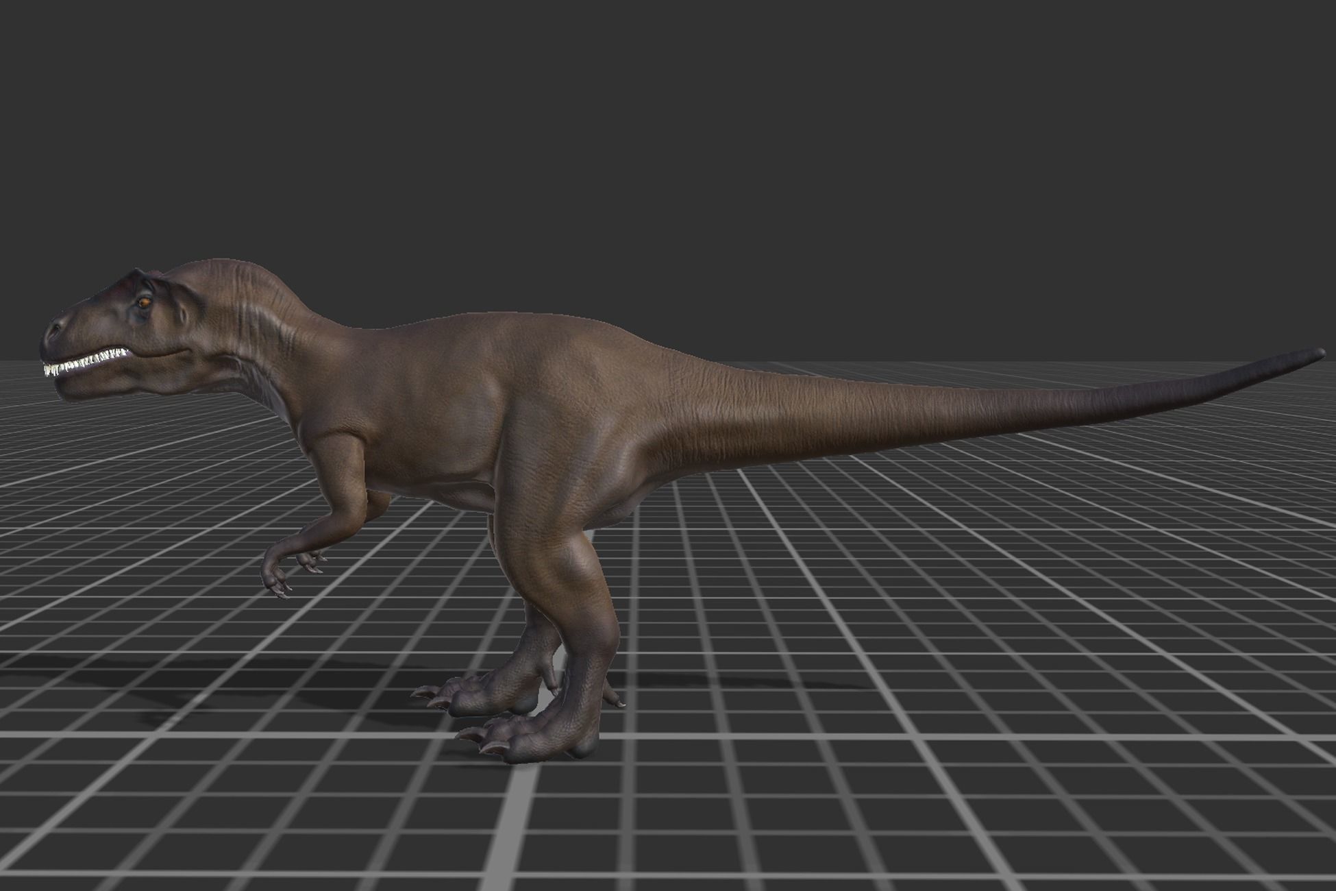 Allosaurus  Low-poly 3D model_2