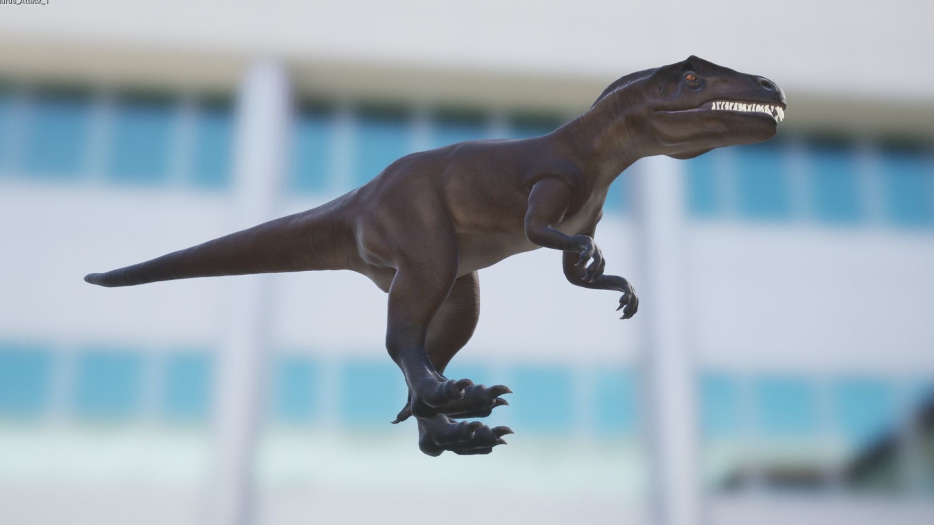 Allosaurus  Low-poly 3D model_9