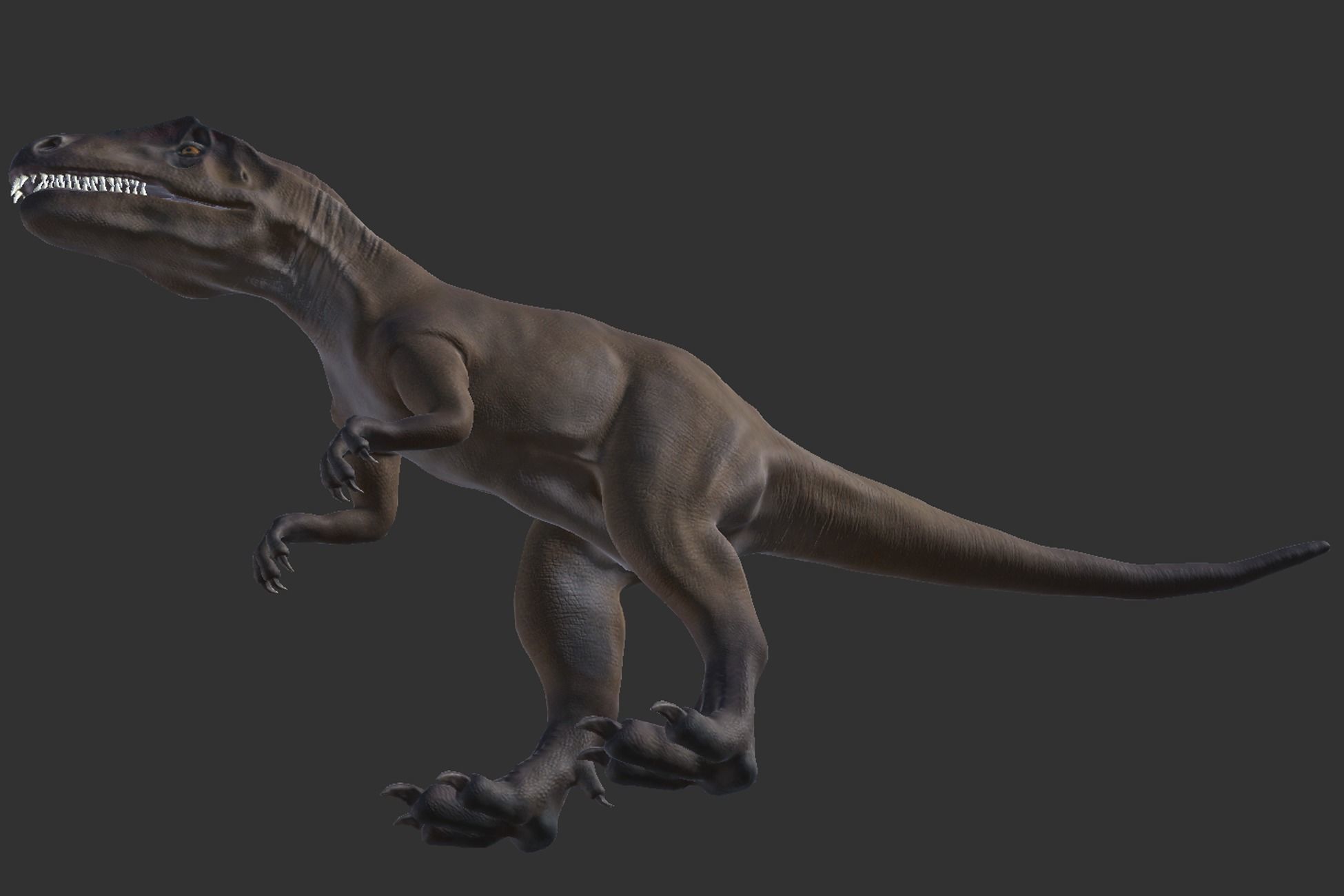 Allosaurus  Low-poly 3D model_8