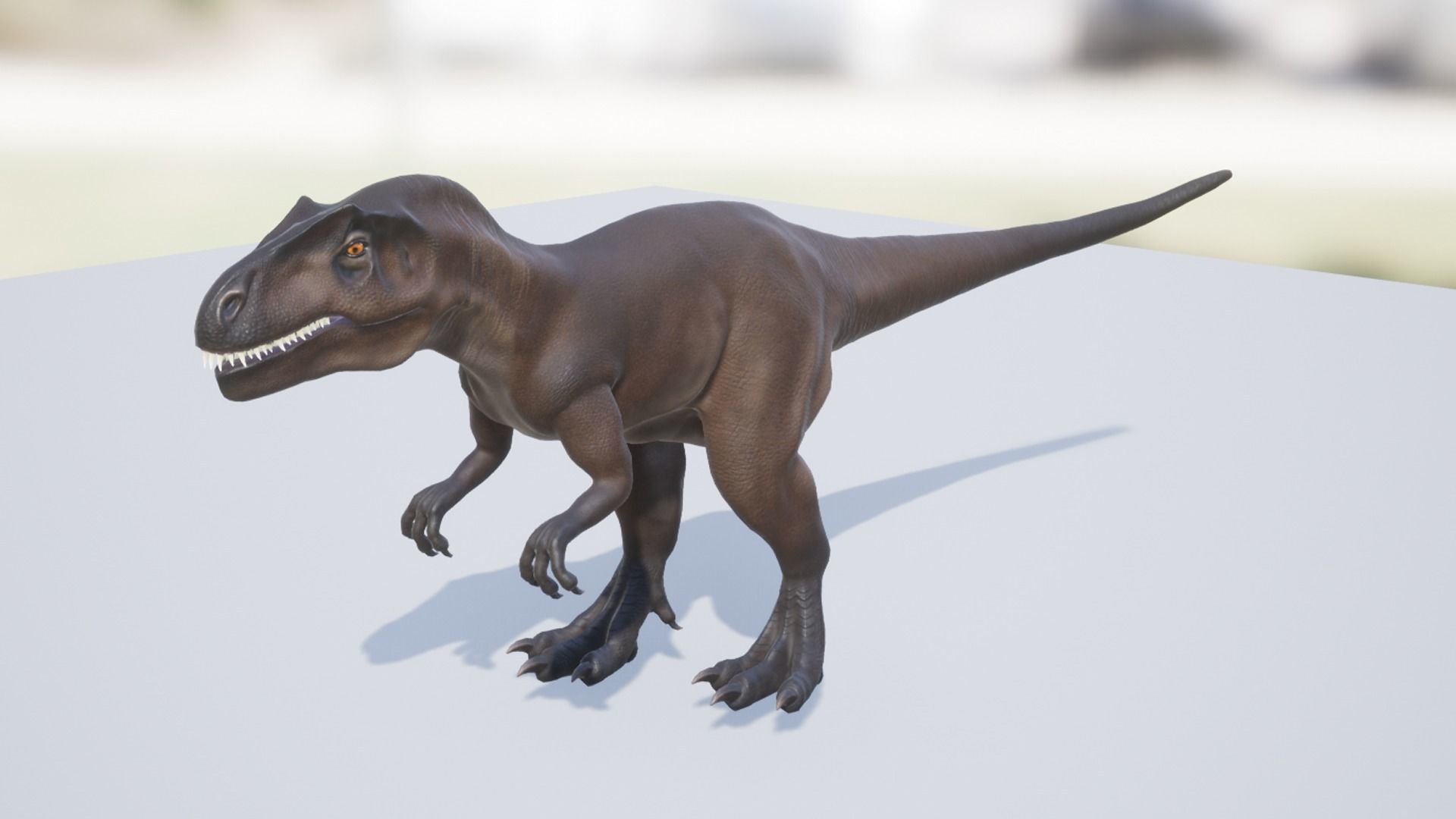 Allosaurus  Low-poly 3D model_5