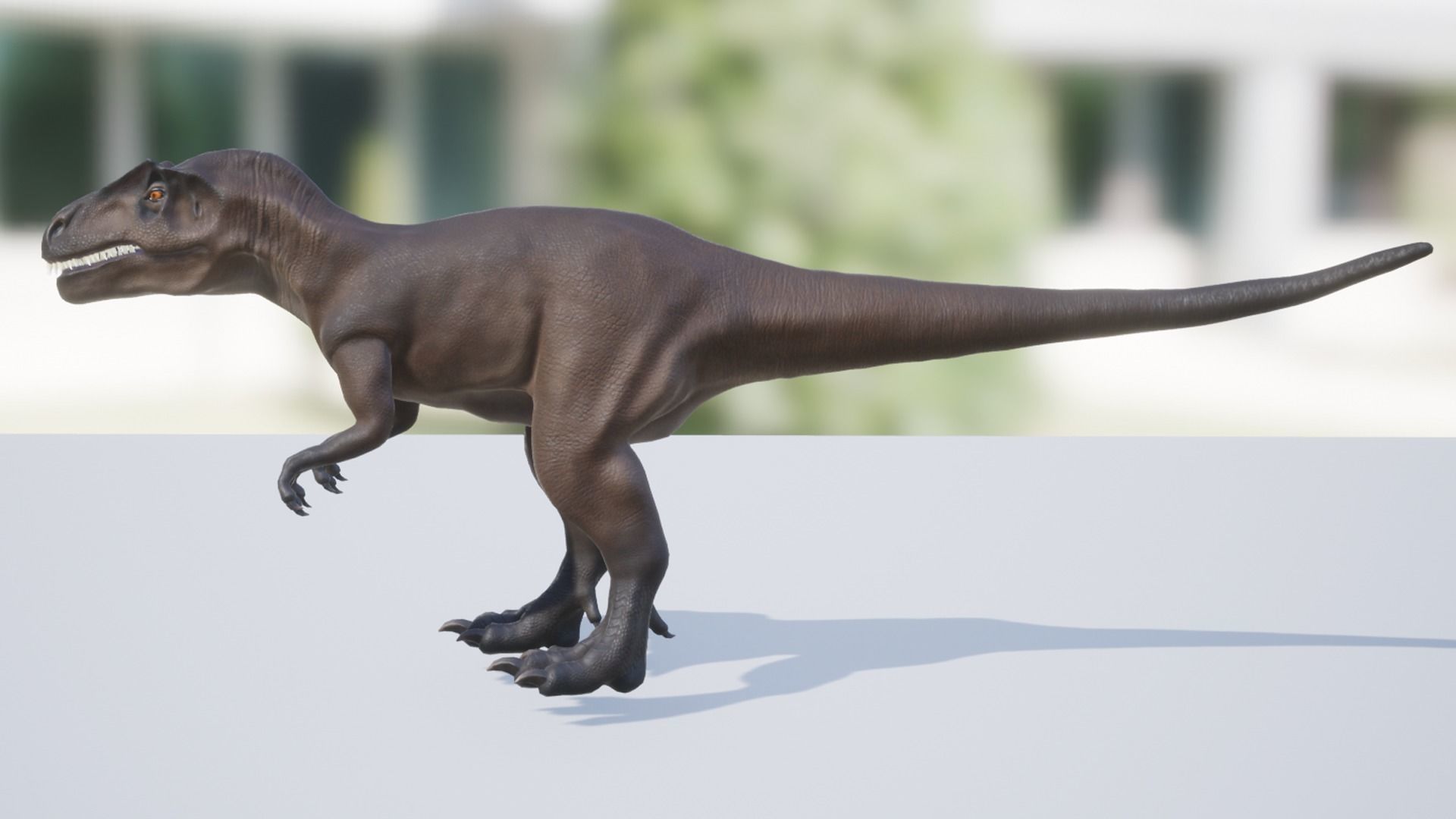 Allosaurus  Low-poly 3D model_3