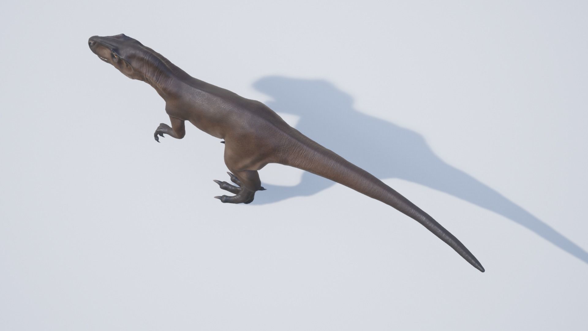 Allosaurus  Low-poly 3D model_7