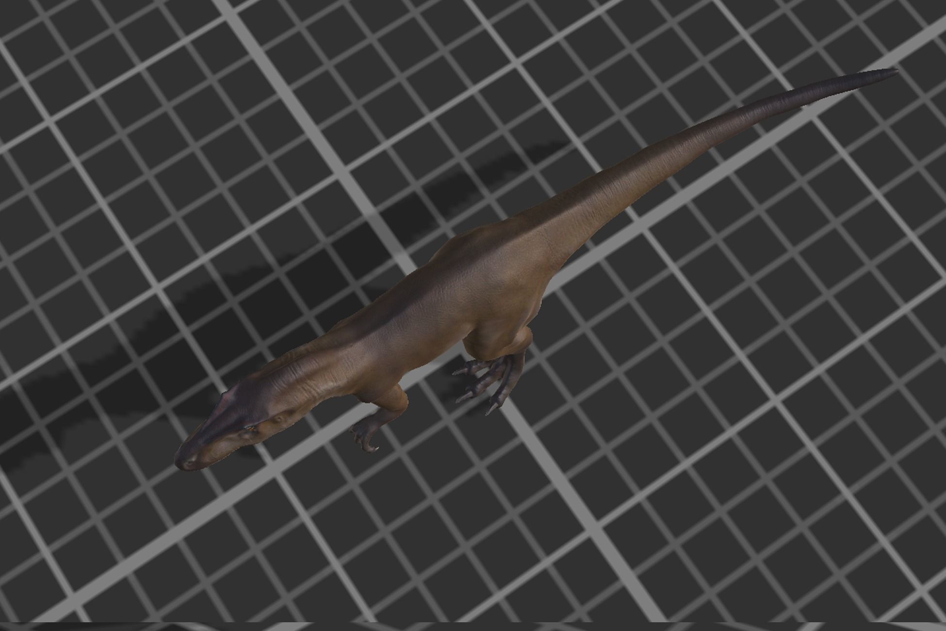 Allosaurus  Low-poly 3D model_6