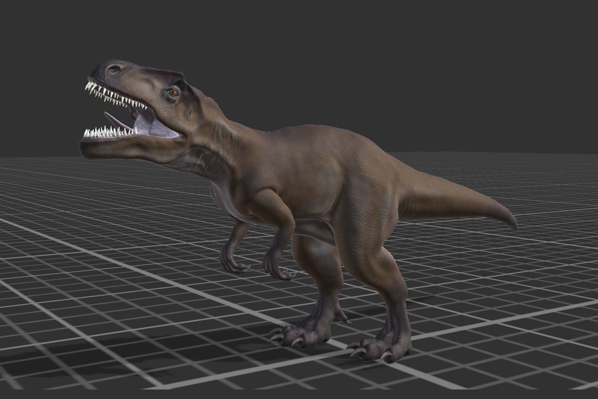 Allosaurus  Low-poly 3D model_10