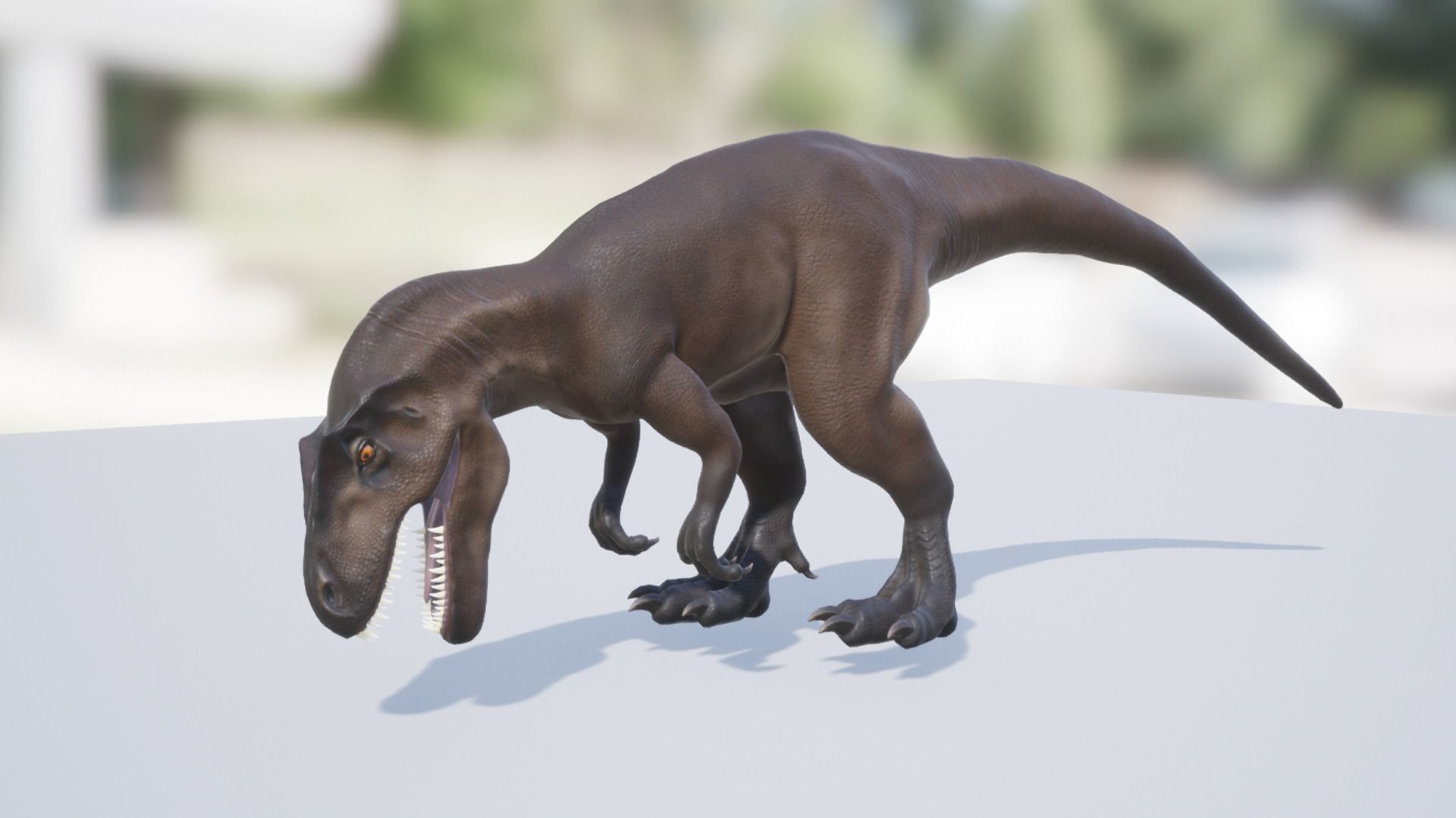Allosaurus  Low-poly 3D model_13