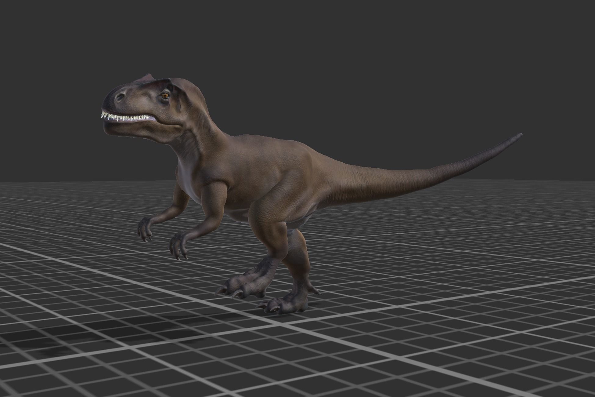 Allosaurus  Low-poly 3D model_12
