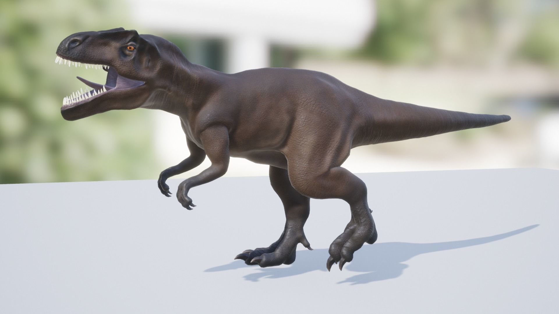 Allosaurus  Low-poly 3D model_11