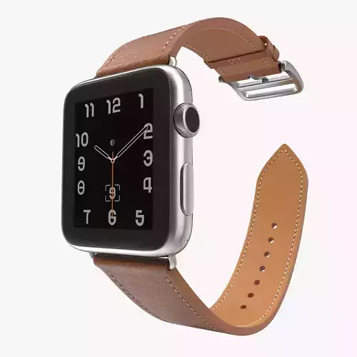 Apple Watch Hermes 42mm Stainless Steel Case 2