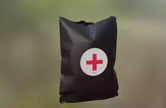 Medic bag Free low-poly 3D model