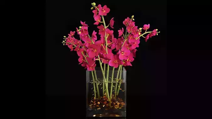 Plant 37 3D model