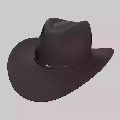Cowboy Hat Brown Leather Low-poly 3D model