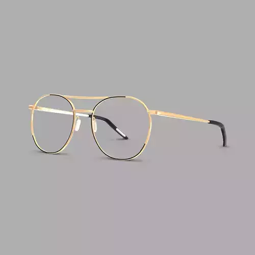 Eco - Osaka Black Gold Glasses Low-poly 3D model