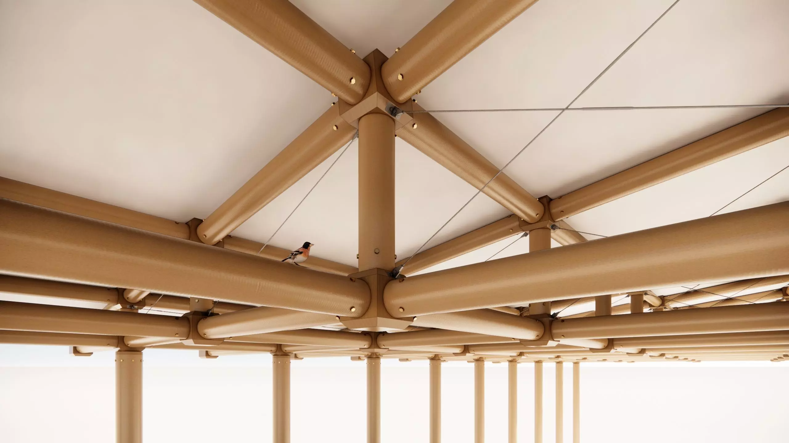 Paper structure Dojo - Shigeru Ban style 3D model_0