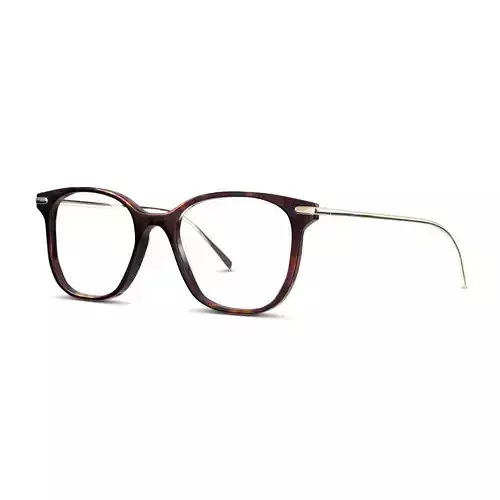 EOE EYEWEAR - Vilhelmina 51 Bark Glasses 3D model