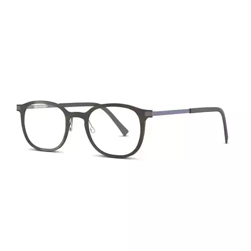 Fleye - Ditmar 4631 Glasses Low-poly 3D model