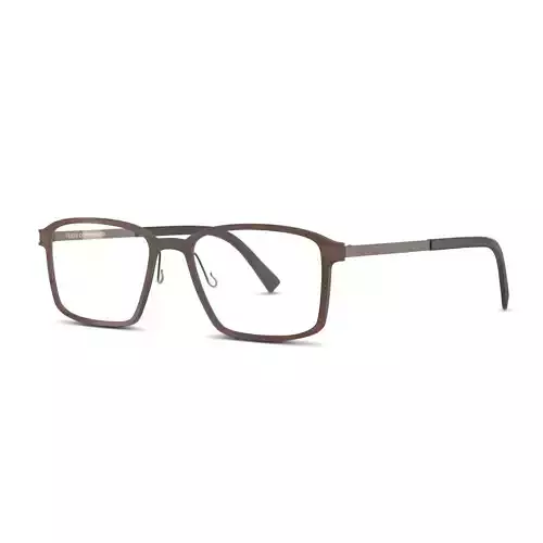 Fleye - Hassel 4631 Glasses Low-poly 3D model Fleye - Hassel 4631 Glasses Low-poly 3D model