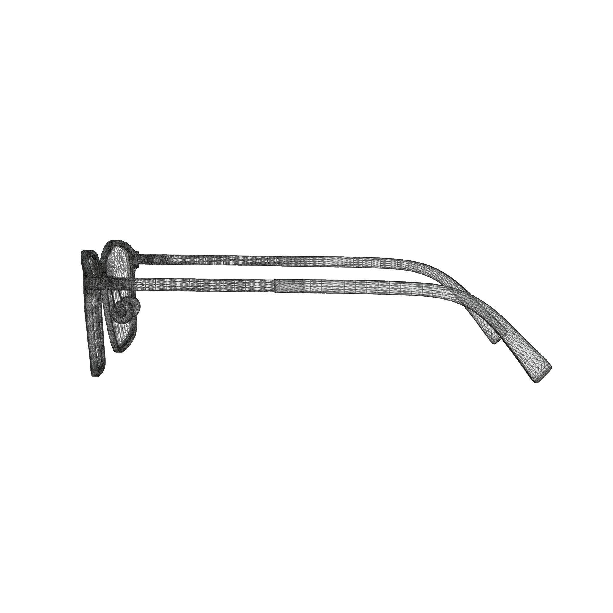 Fleye - Hassel 4631 Glasses Low-poly 3D model_8