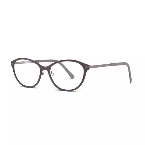 Fleye - Etna 4725 Glasses Low-poly 3D model