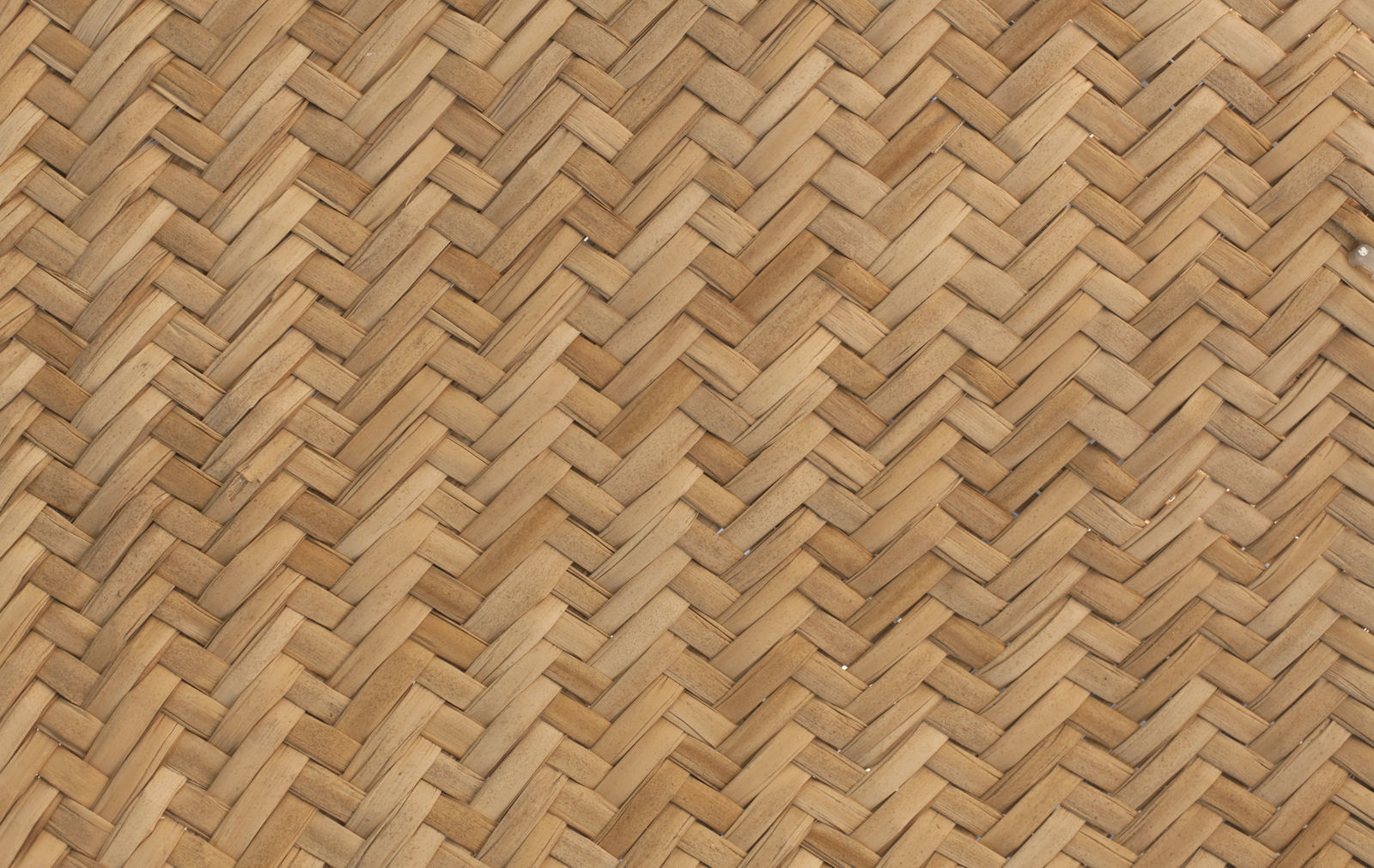 Apple basket 3D model_4