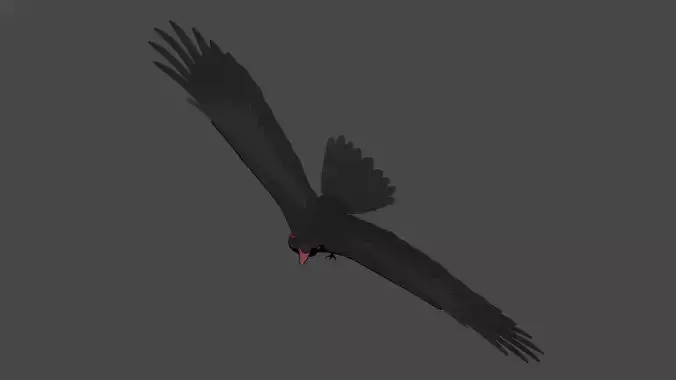 CRS Crow 3D model