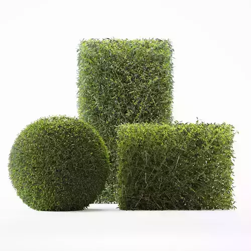 bush02 three topiary balls