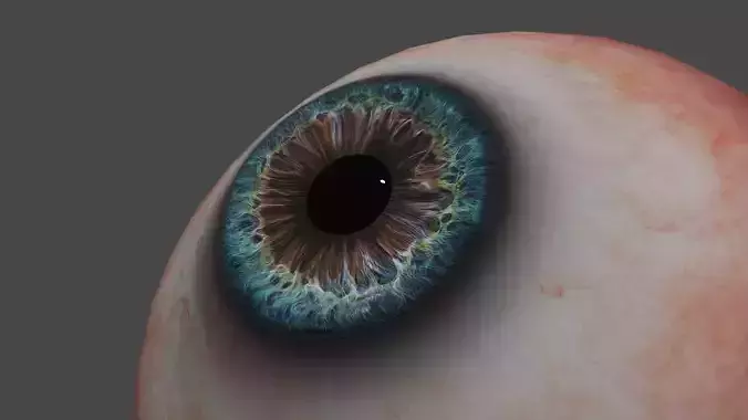 Realistic eyes models pack 3D model