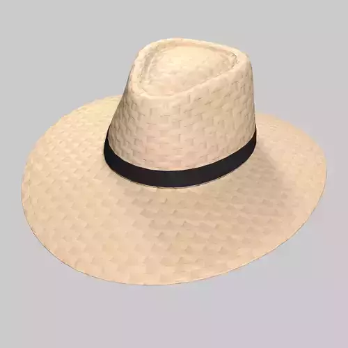 Panama Hat Straw Sun Fedora Low-poly 3D model