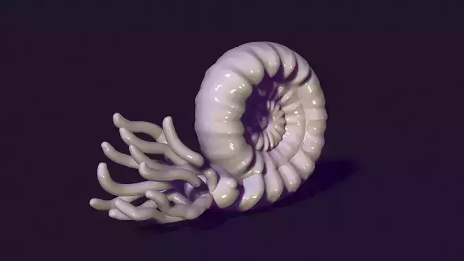 nautilus snail 3D print model