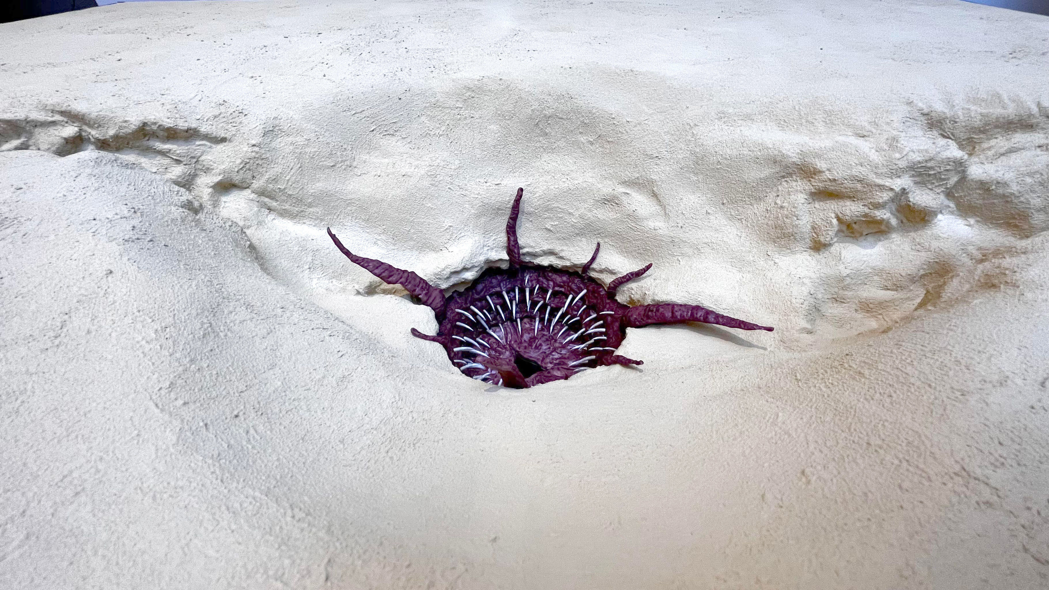 Sarlacc Pit playset 1-18 scale for 3-75 inch figures 3D print model_38