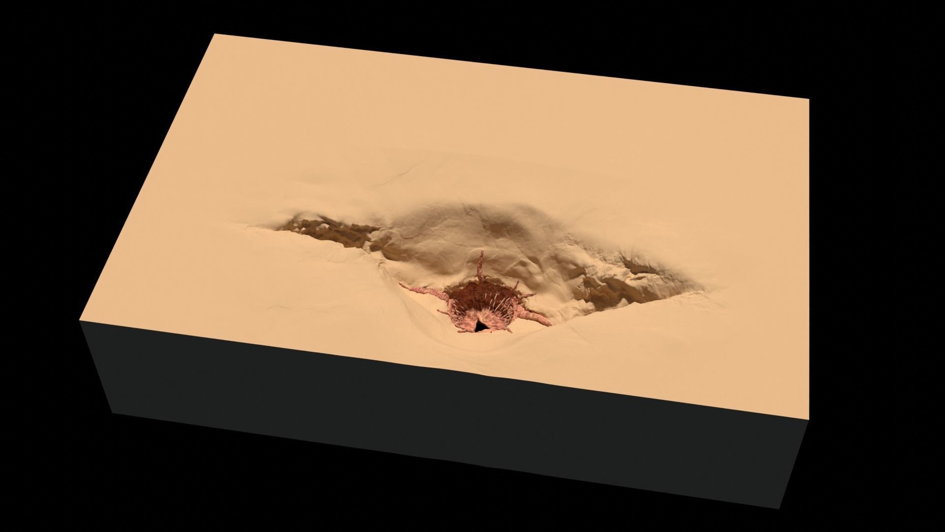 Sarlacc Pit playset 1-18 scale for 3-75 inch figures 3D print model_12