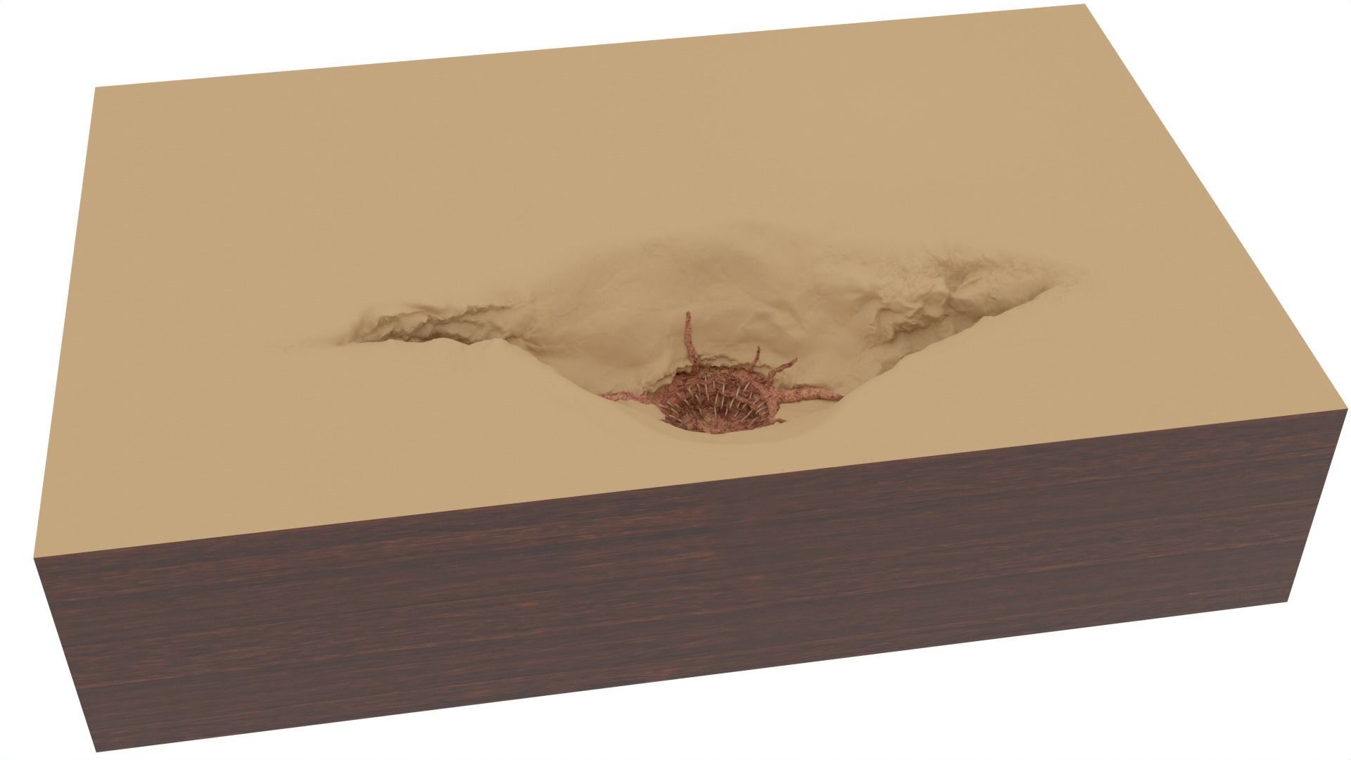 Sarlacc Pit playset 1-18 scale for 3-75 inch figures 3D print model_32