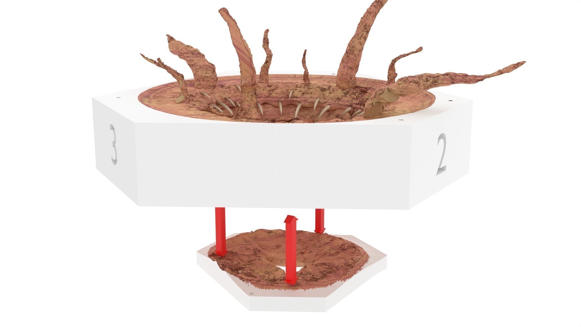 Sarlacc Pit playset 1-18 scale for 3-75 inch figures 3D print model_25