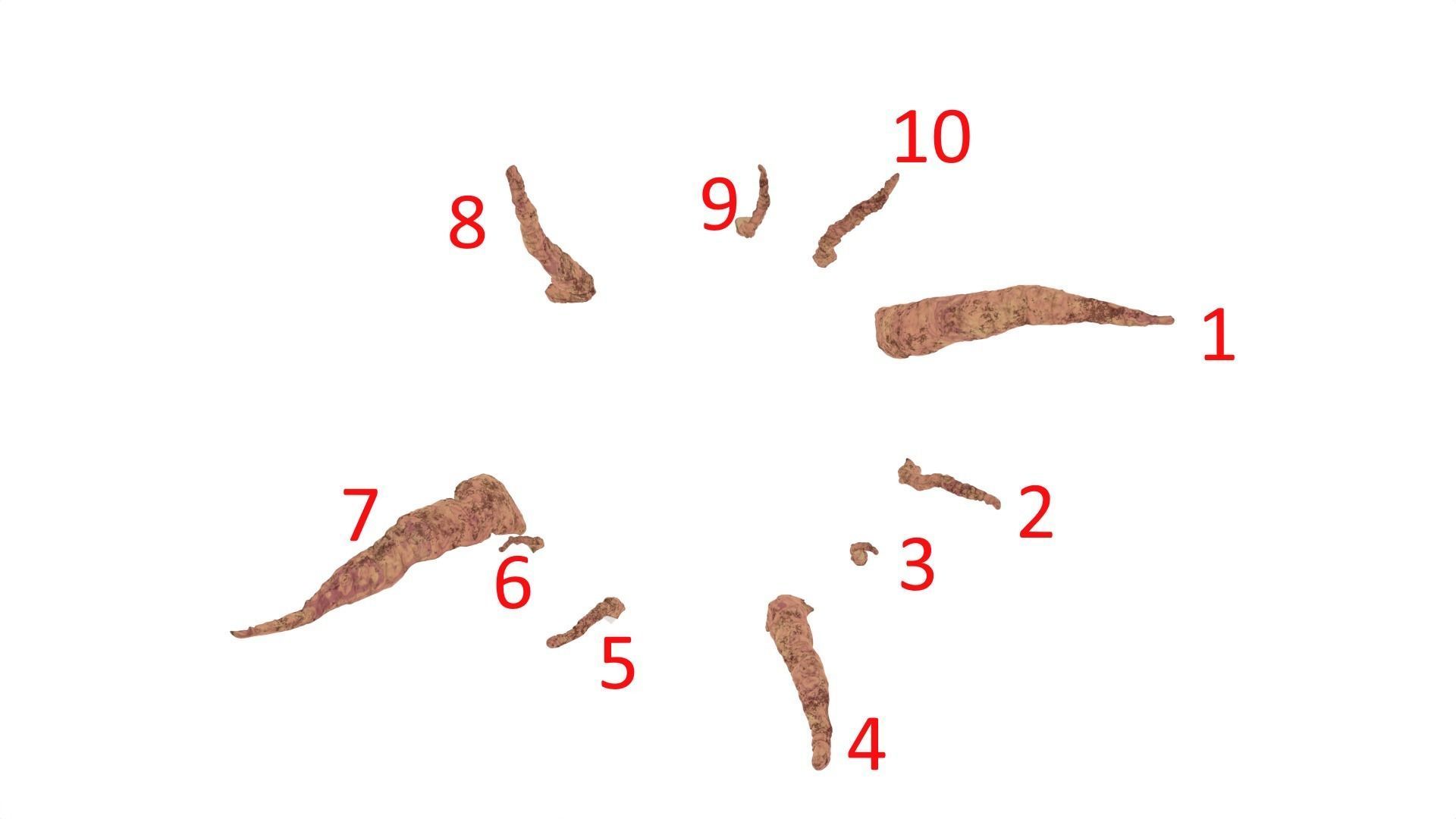 Sarlacc Pit playset 1-18 scale for 3-75 inch figures 3D print model_23