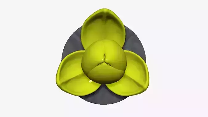 Exquisite Romdoul Flower Model 3D model