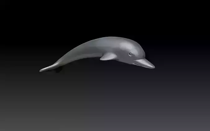 dolphin 3D print model