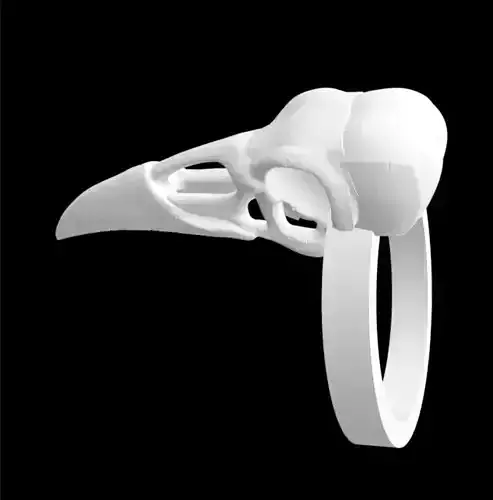 Raven Skull Ring