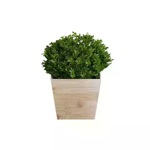 A3DPRO - IKEA Plant 001