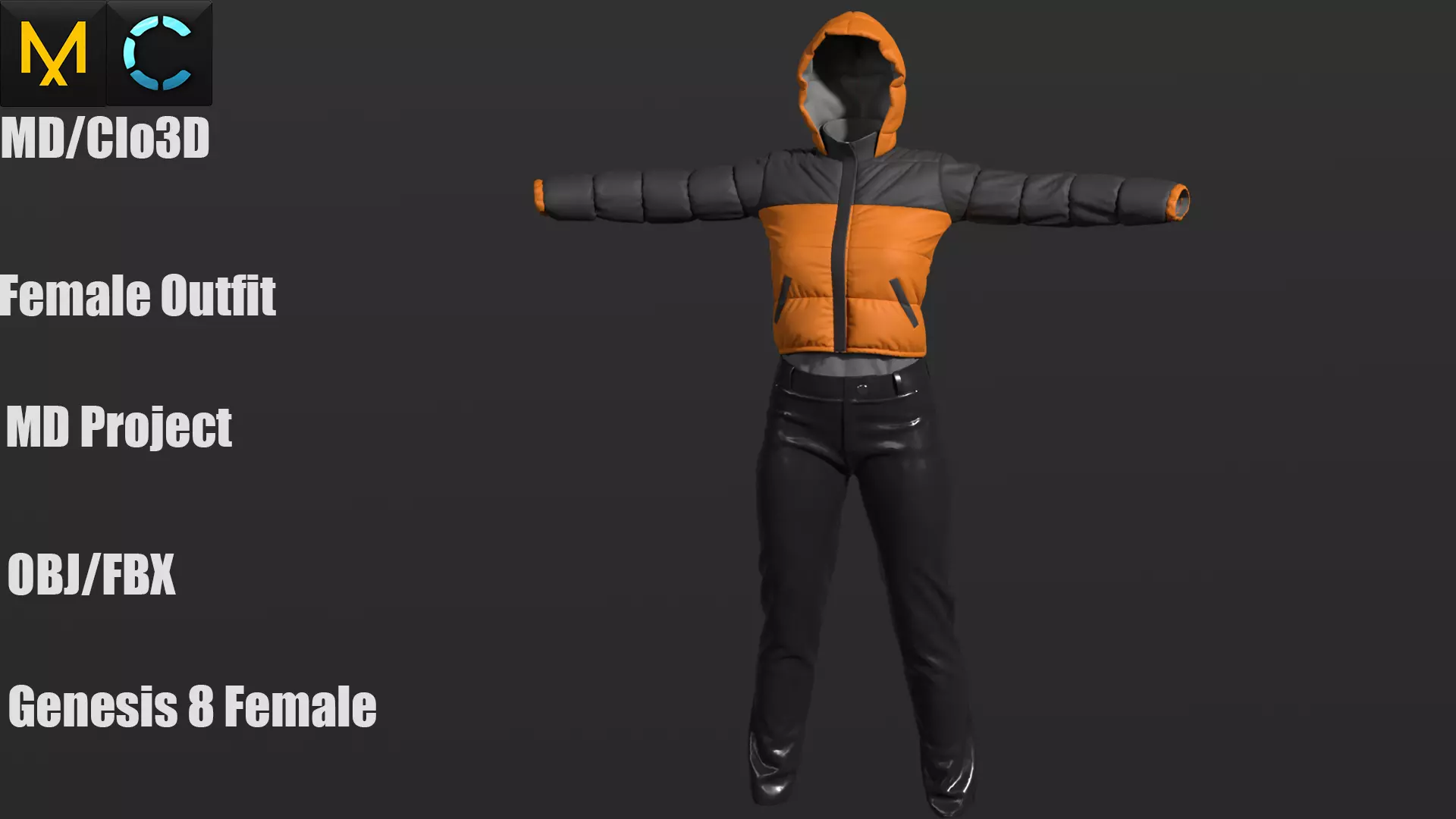 Female Outfit 3D model_0