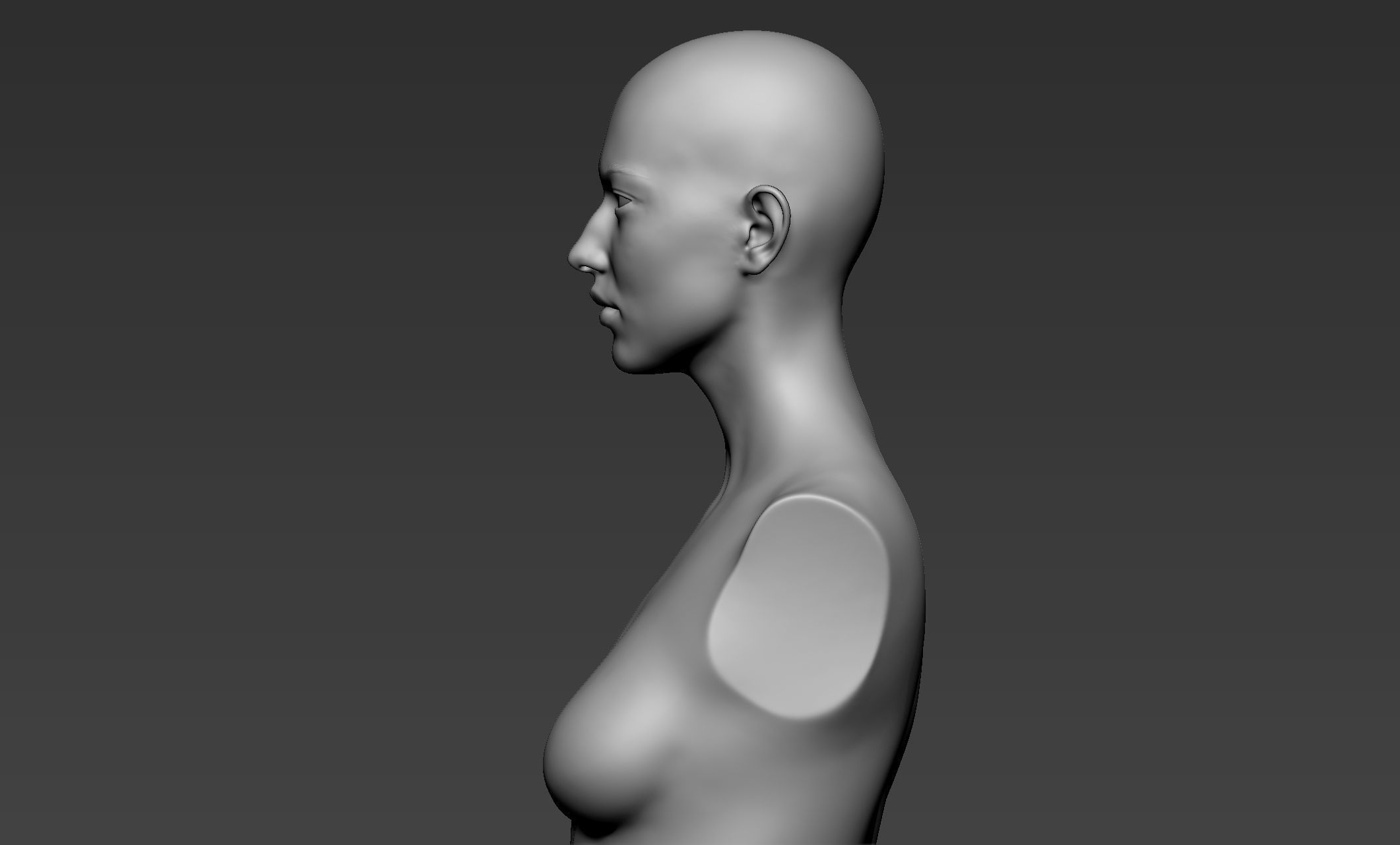 Female Upper Body Sculpt 3D model_4