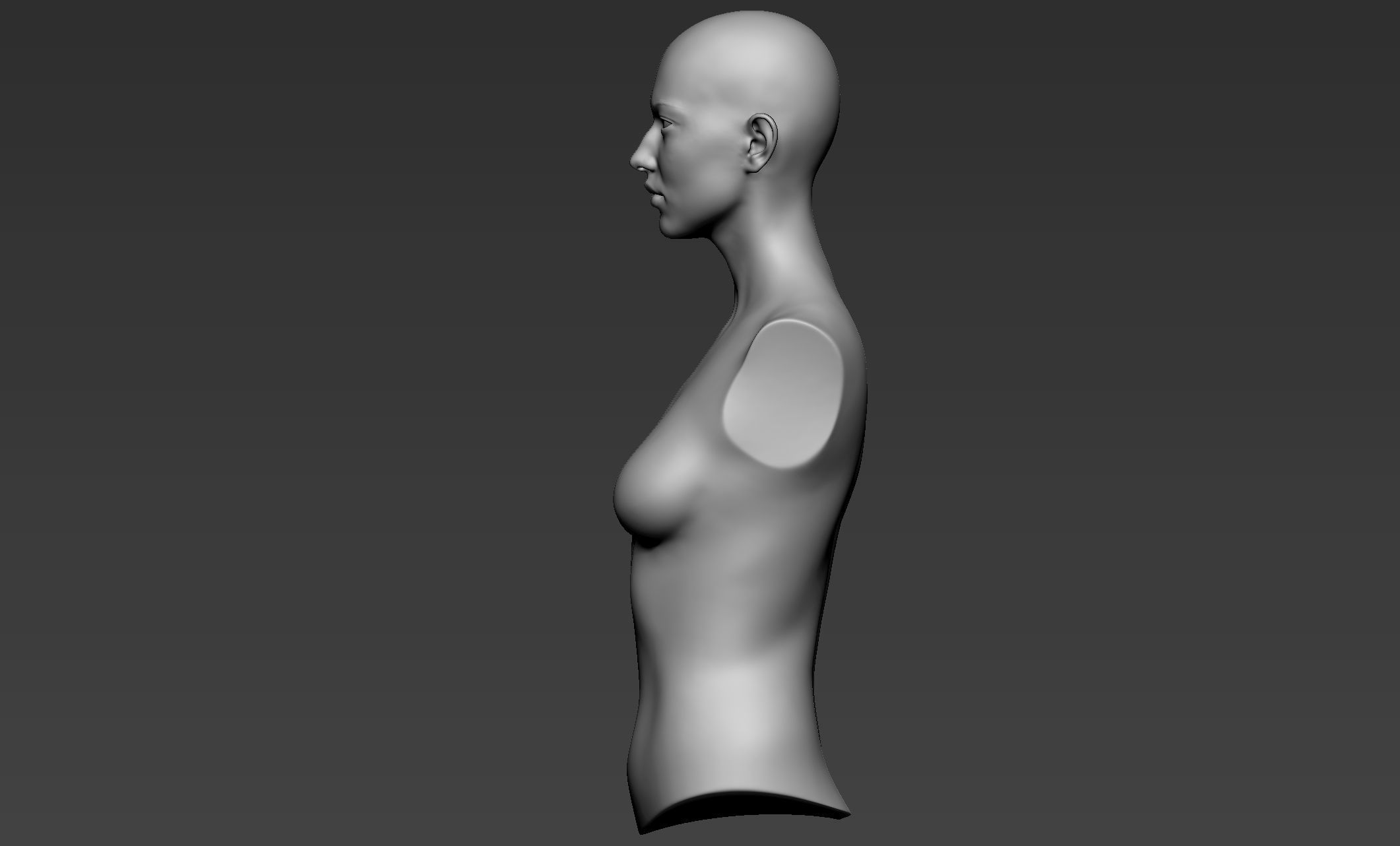 Female Upper Body Sculpt 3D model_6