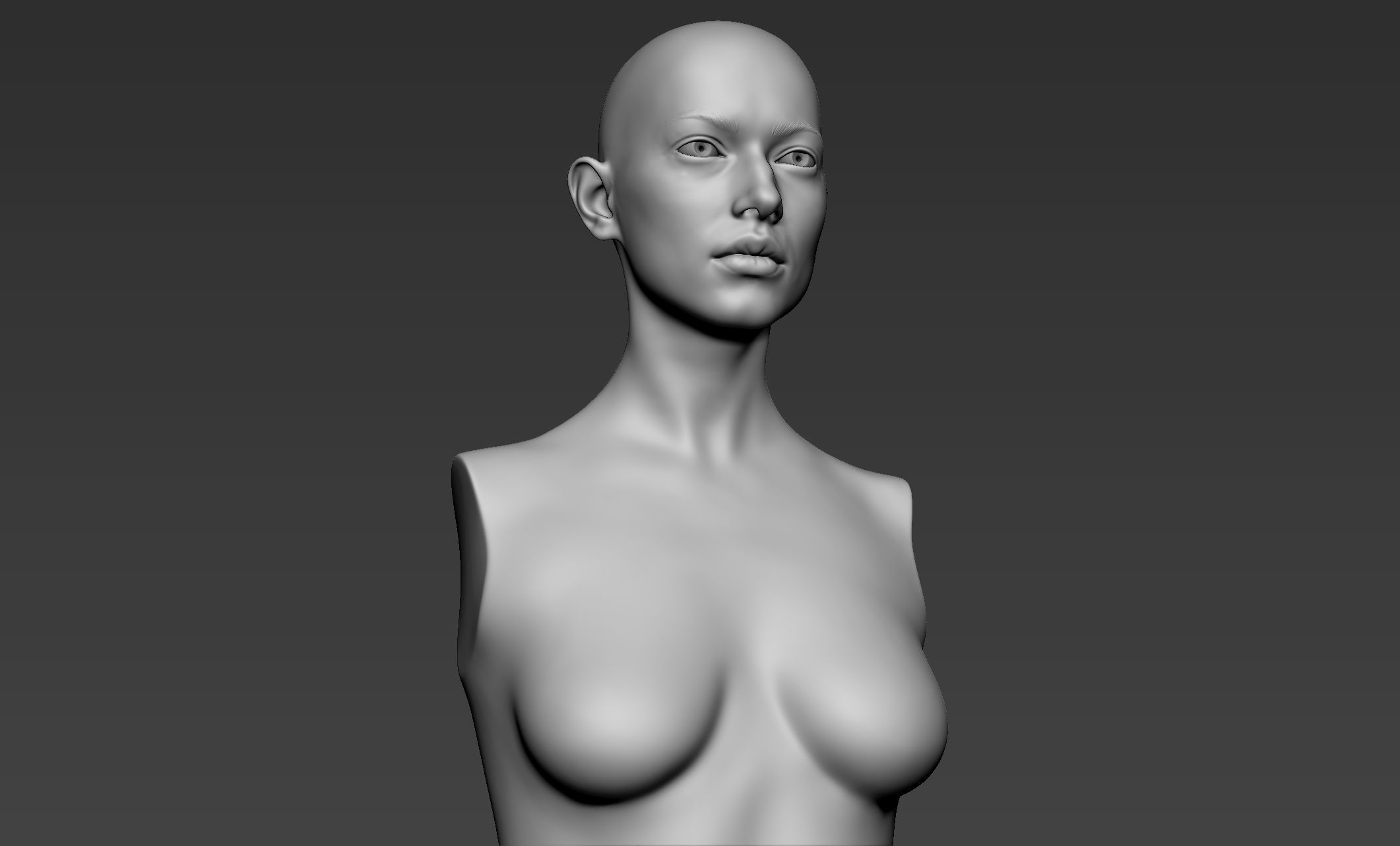 Female Upper Body Sculpt 3D model_9