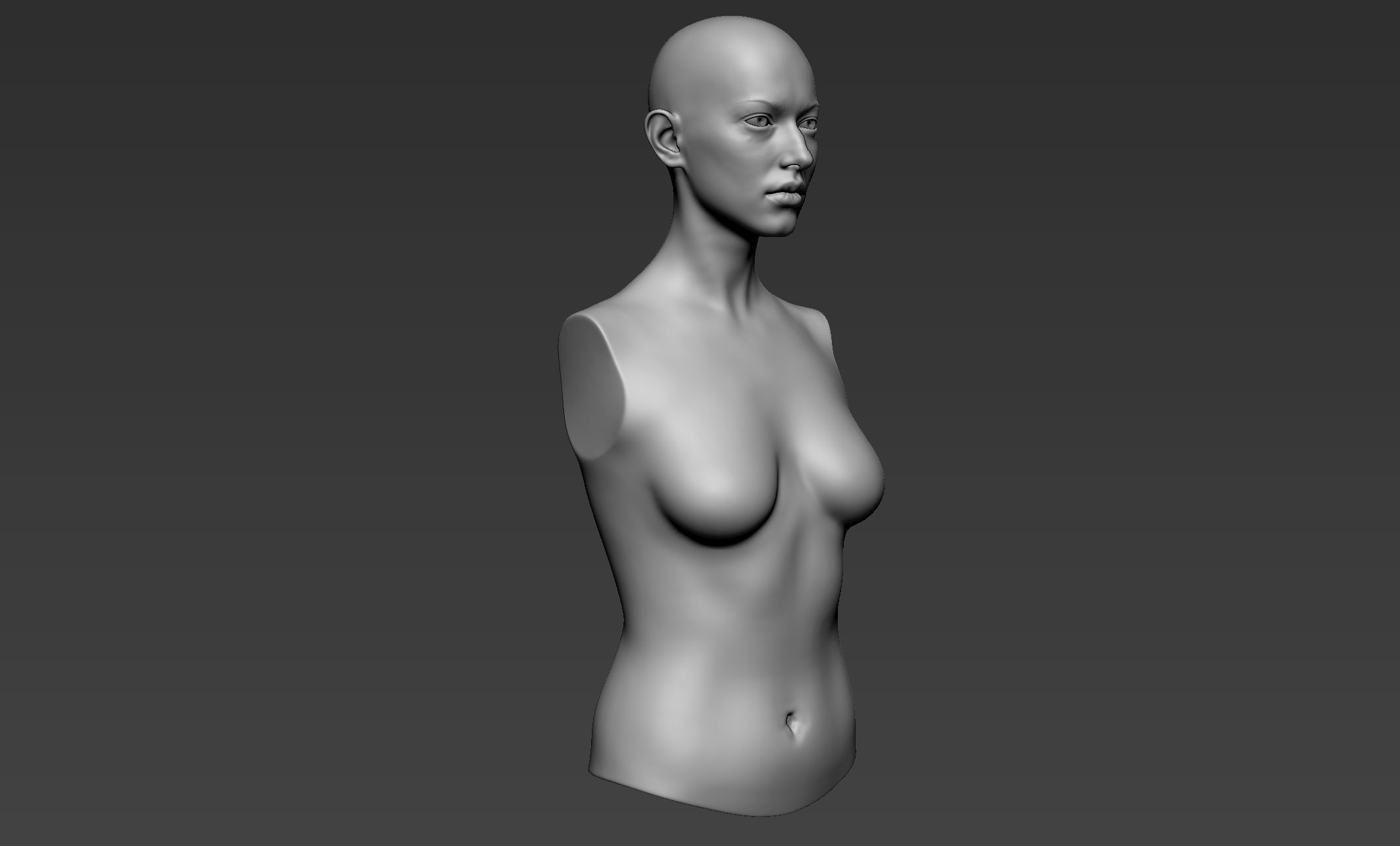 Female Upper Body Sculpt 3D model_8