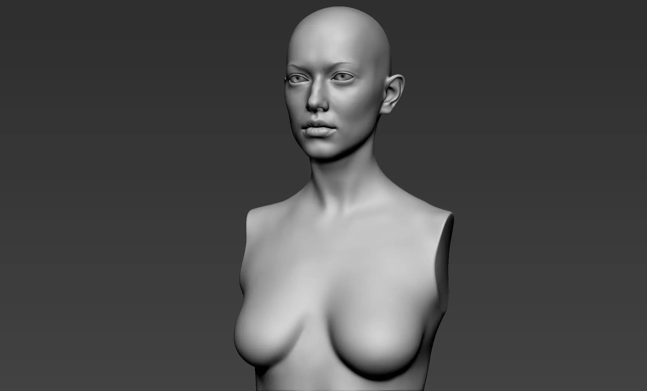 Female Upper Body Sculpt 3D model_0